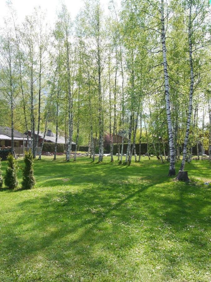 Chalet Champraz - Free Parking Chamonix Mont Blanc Exterior foto