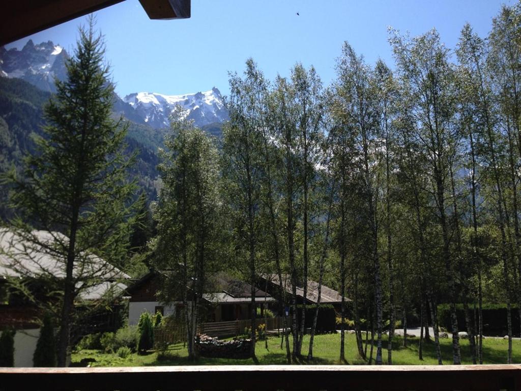 Chalet Champraz - Free Parking Villa Chamonix Mont Blanc Exterior foto